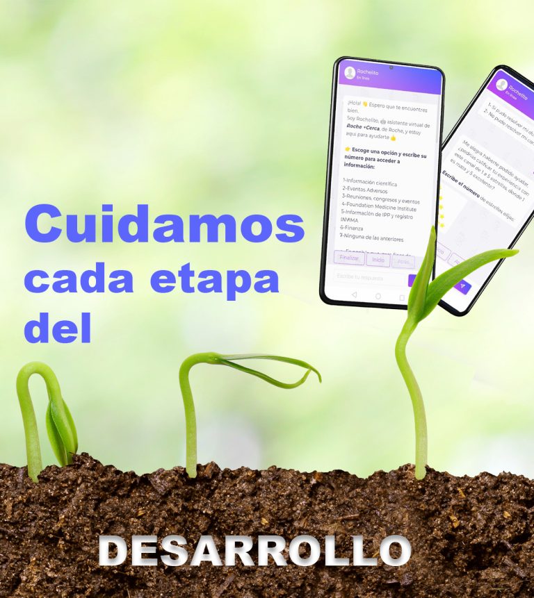 Desarrollo de software